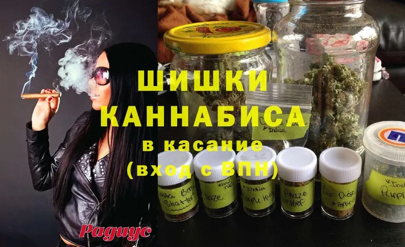 маркетплейс телеграм  купить наркотики цена  Губкинский  Канабис SATIVA & INDICA 